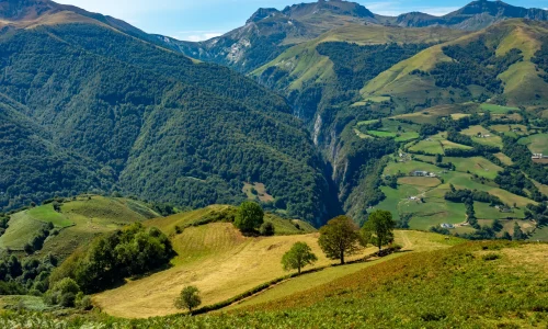 pyrenees-soule